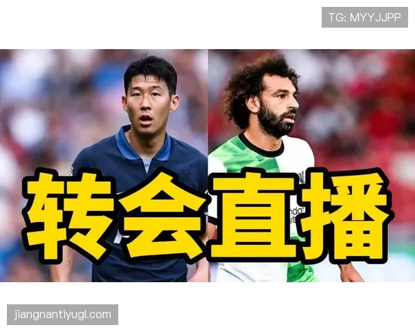 孙兴慜与萨拉赫进攻参与模式的多点驱动差异分析